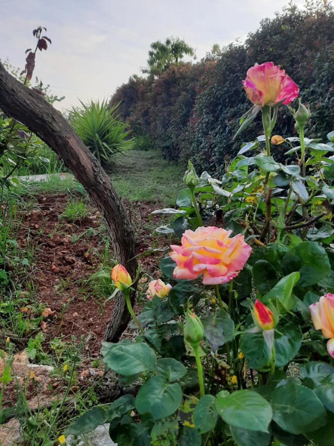 Villa Bellocchio Locorotondo Kültér fotó