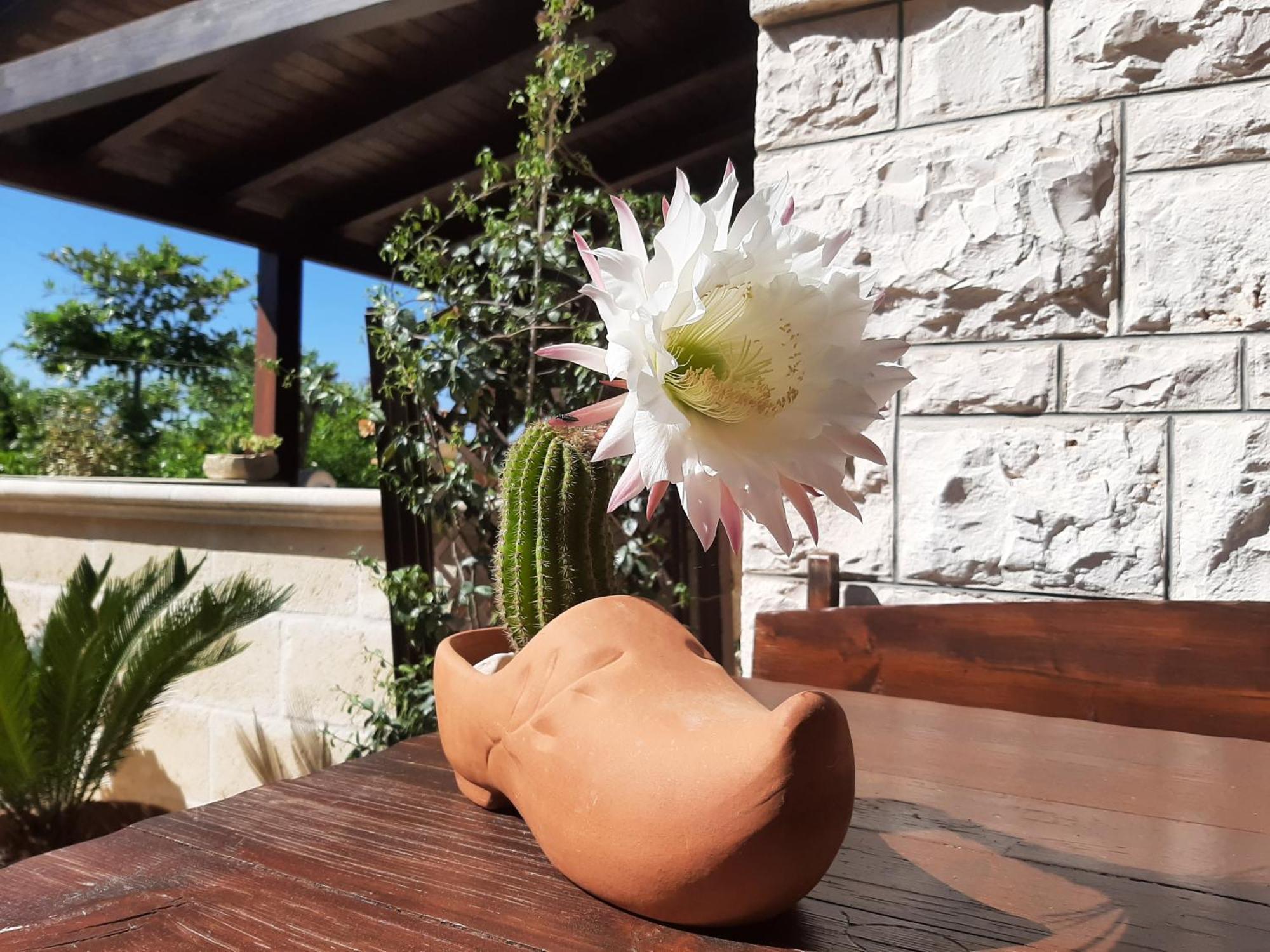 Villa Bellocchio Locorotondo Kültér fotó